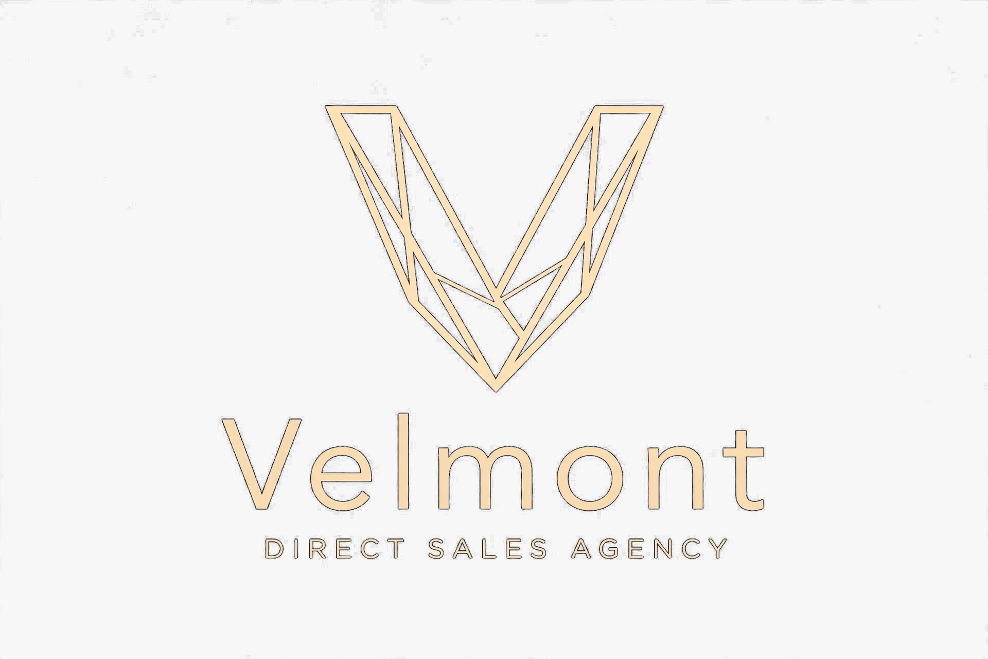 Velmont — Direct Sales Agency